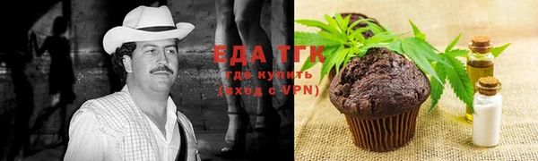 гидра Абаза