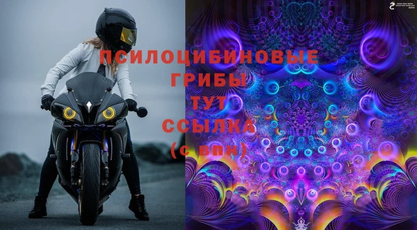 стафф Абинск