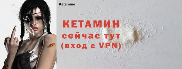 гидра Абаза