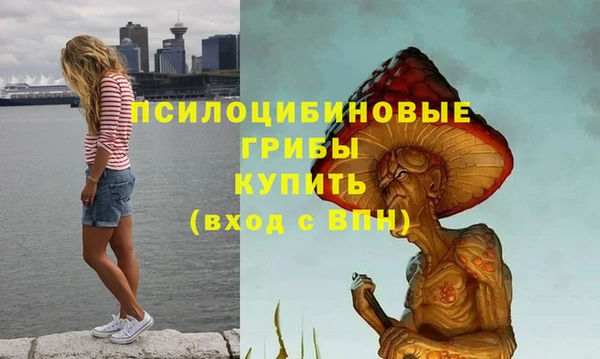 стафф Абинск