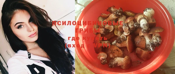 стафф Абинск