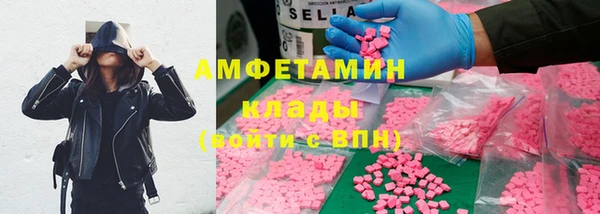гидра Абаза