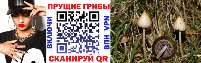 Псилоцибиновые грибы ЛСД  Черепаново 